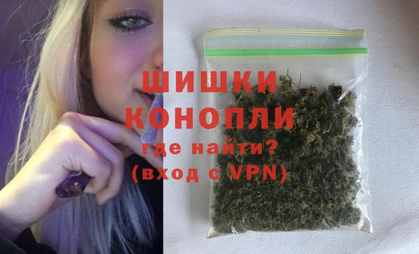 бошки Алексин
