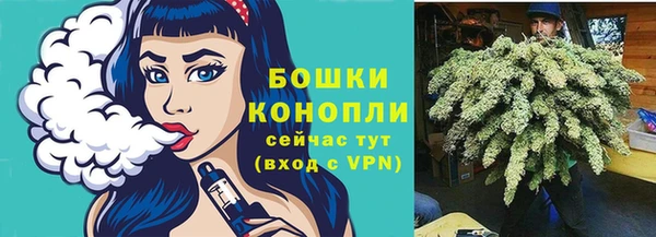 бошки Алексин